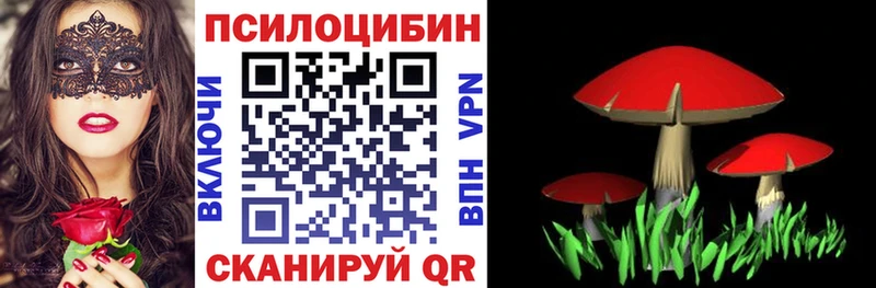 Галлюциногенные грибы Cubensis  Купить закладки  Моздок 